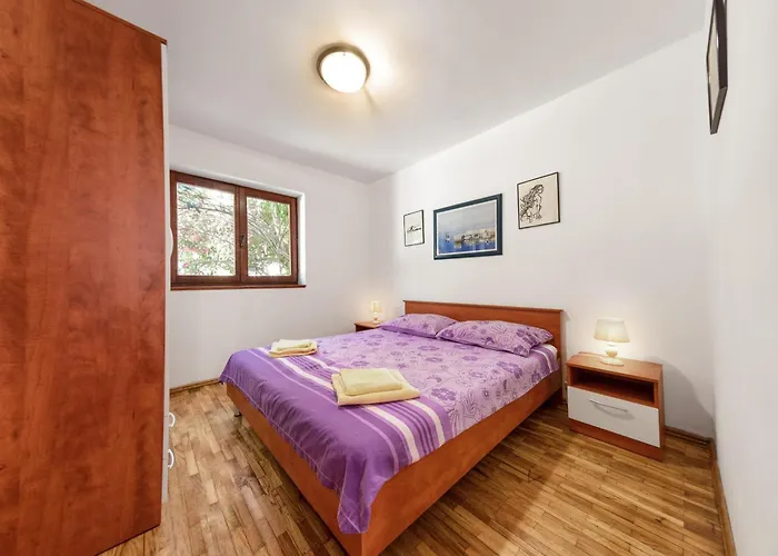 Apartman Vlado *